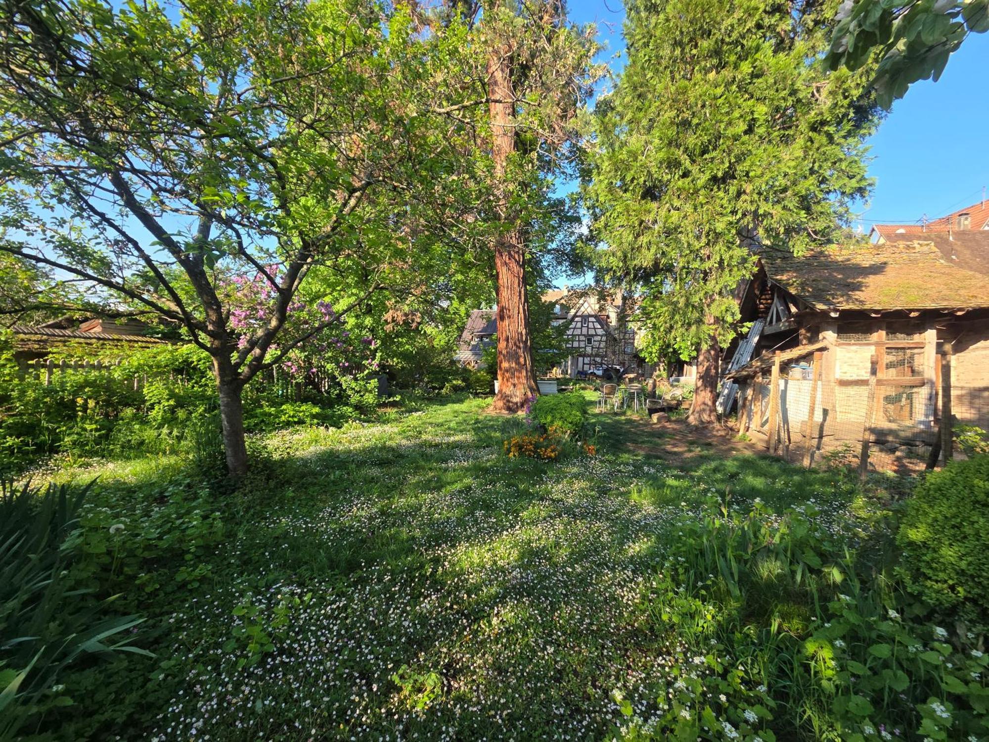 Le Temps Des Cigognes Villa Barr Luaran gambar