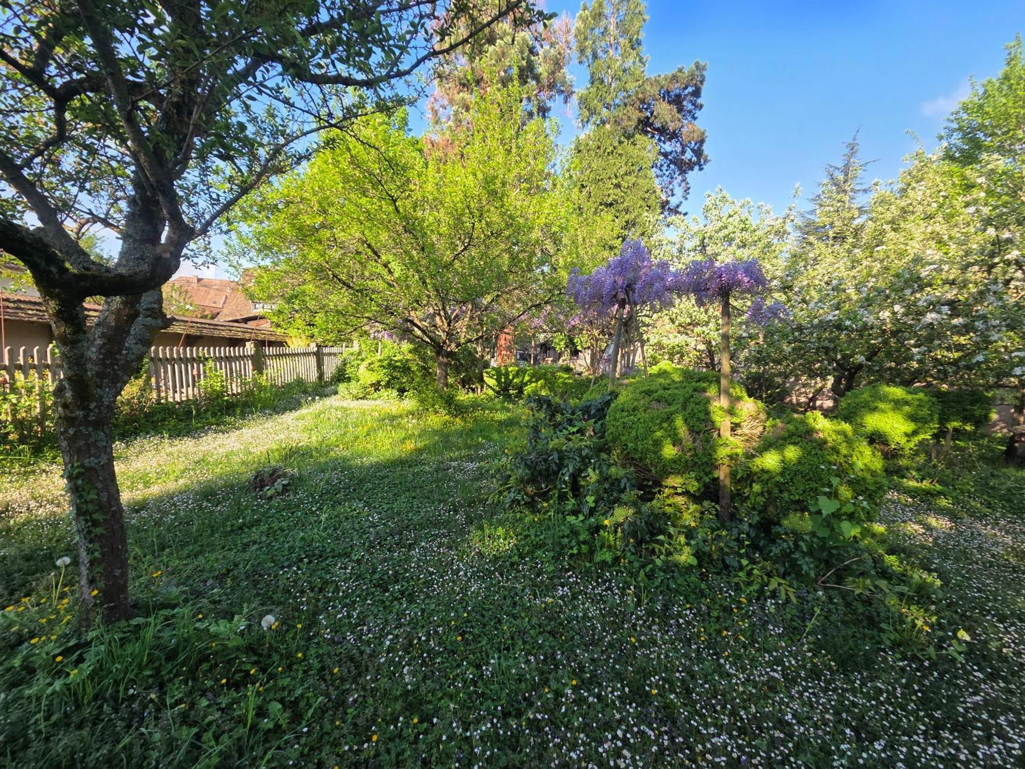 Le Temps Des Cigognes Villa Barr Luaran gambar