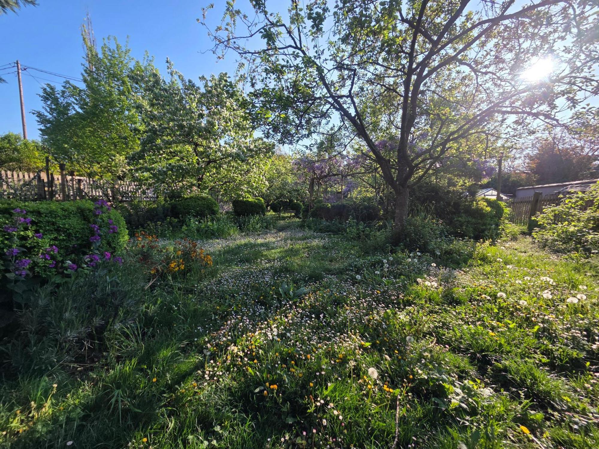 Le Temps Des Cigognes Villa Barr Luaran gambar