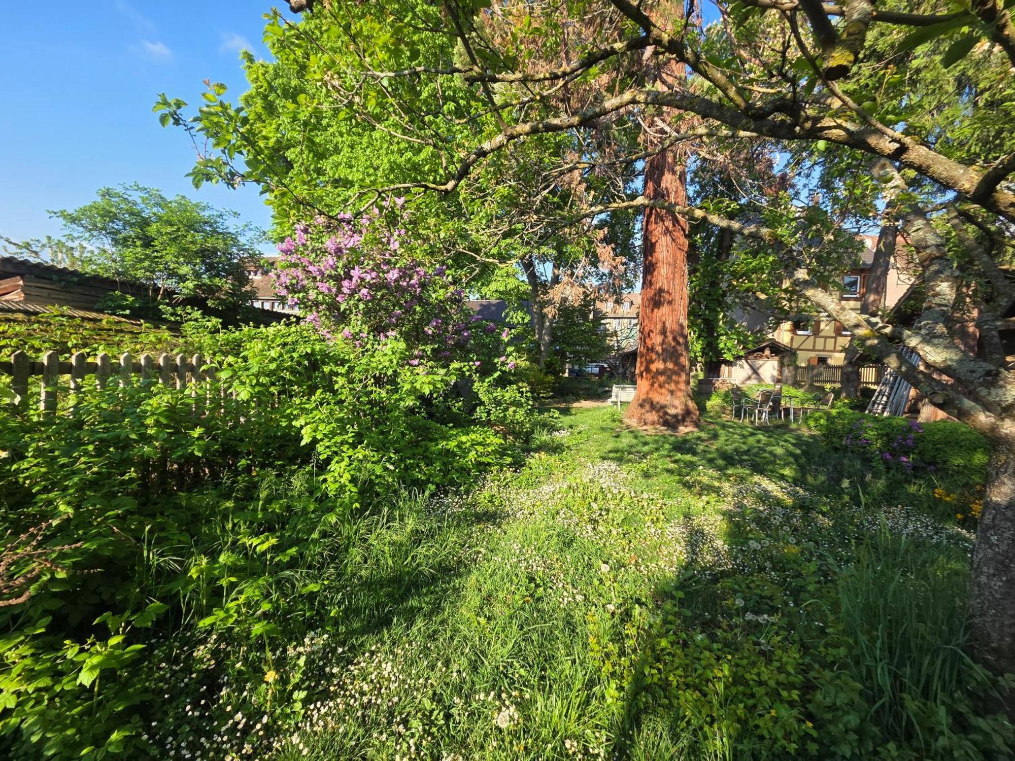 Le Temps Des Cigognes Villa Barr Luaran gambar