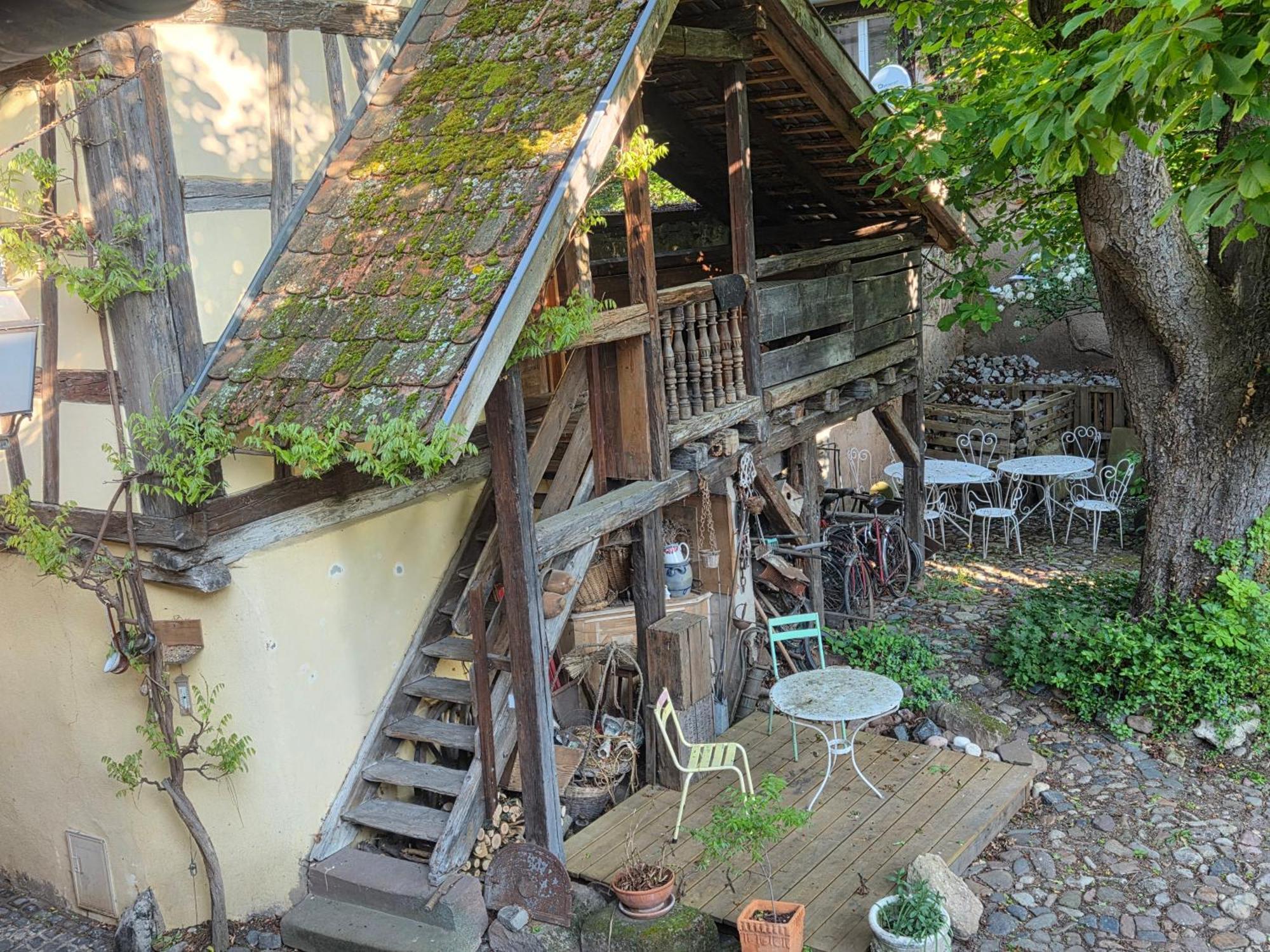 Le Temps Des Cigognes Villa Barr Luaran gambar